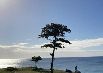 Malecon Autopista Las America