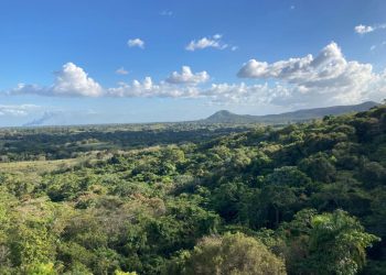 Yamasa Monte Plata ambiente