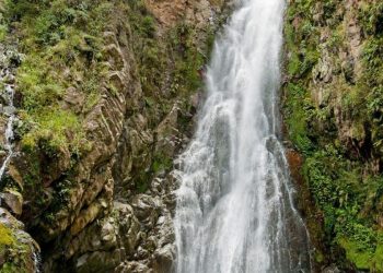 Agua Blancas Constanza