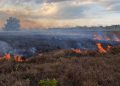 Fuego Forestales Bayaguana