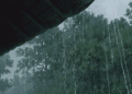 lluvias rd