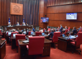 senado