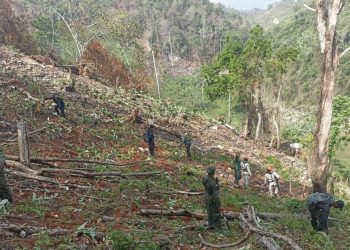 Medio Ambiente en los Haitises