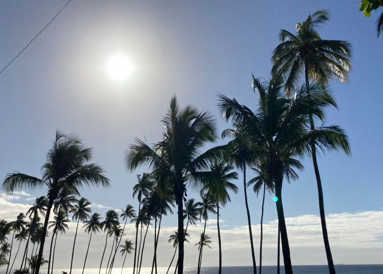 Onamet sol y coco Santo Domngo Amaurys Florenzan