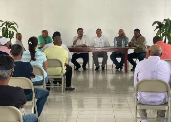 Valle Nuevo y medio ambiente