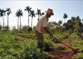 agricultor