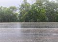 lluvias rd