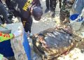 policia muerte