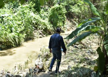 wellington arnaud gurabo