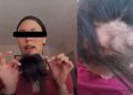 estudiantes cabello