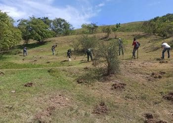 medio ambiente carretera internacional