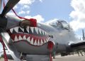 tucano