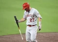 cordero