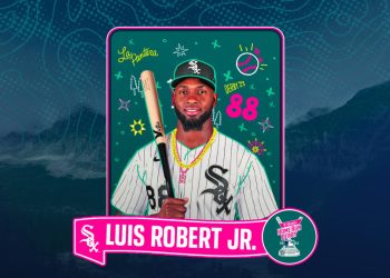 luis robert