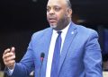 Vocero del PLD luis