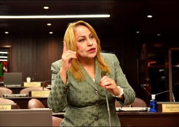 Diputada Ana María Peña )