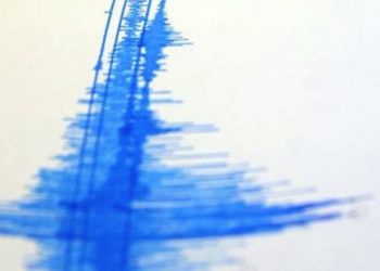 Fuerte terremoto