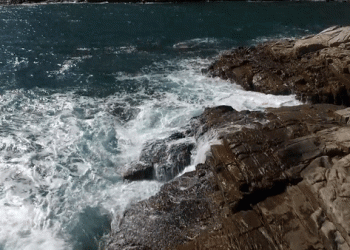 olas mar gif