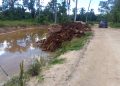 terrena proyecto