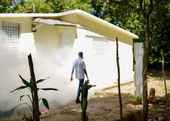 Dengue fumigación