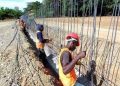 haitianos