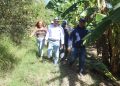 Agricultura Recorrido por el sur