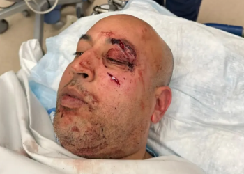 Captura de Pantalla 2023 11 14 a la(s) 9.46.48 a. m.