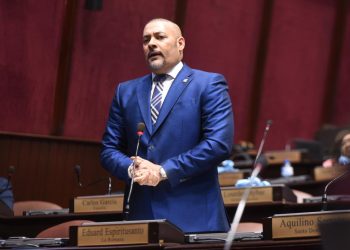 Espiritusanto diputado