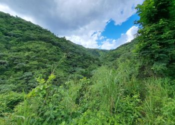 Hubieres lo siete picos