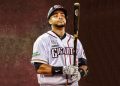 Nelson cruz