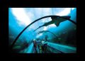 acuario