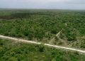 Bavaro terreno aeropuesto