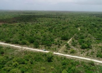 Bavaro terreno aeropuesto