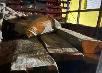 Capturan a un hombre traficando con ébano verde