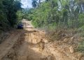 Nagua