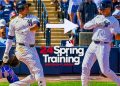 soto yankees