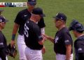 joe torre
