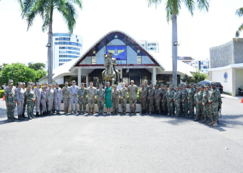 comado sur y salud publica