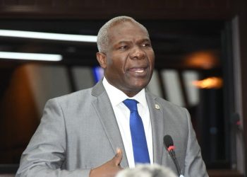 Diputado de San Pedro Gomez