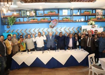 Dominicanos por EL Cambio