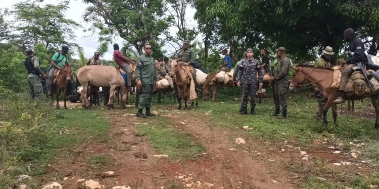 intervencion en los haitises llevo el arresto de 439 desaprensivos que depredaban en el parque nacional 3 1024x768