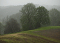 lluvia