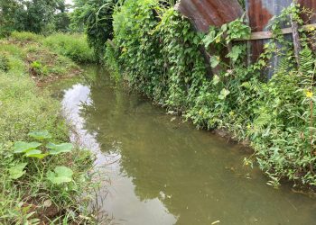 Cañada del Play Viejo Gonzalo