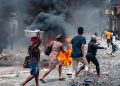 Haiti bajo cao