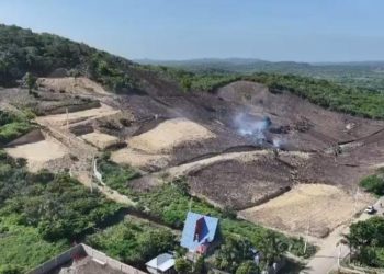 bosque seco de la costa de Buen Hombre