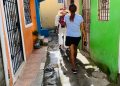 Salud Dengue