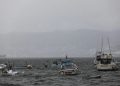 tormenta