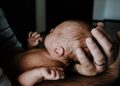 neonato