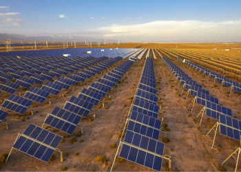 Alianza Solar Internacional