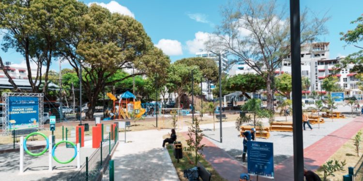 Parque DN